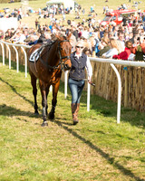 Race 6 - Open Maiden (11 of 136).jpg