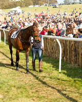 Race 6 - Open Maiden (12 of 136).jpg