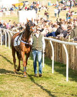 Race 6 - Open Maiden (13 of 136).jpg
