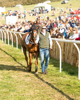 Race 6 - Open Maiden (15 of 136).jpg