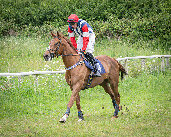 Race 2 - The Restricted race (8 of 84)