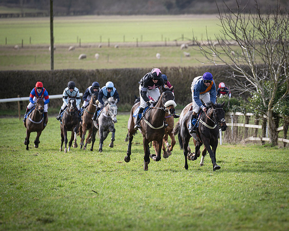 Race 3 - The Maiden Conditions (101 of 214)