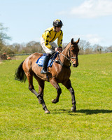 Race 2 - T-B-A Mares and Fillies Race