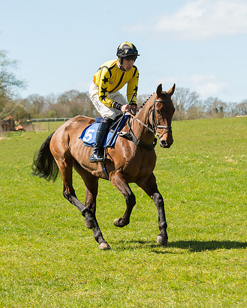 Race 2 - TBA Mares and Fillies (1 of 72).jpg