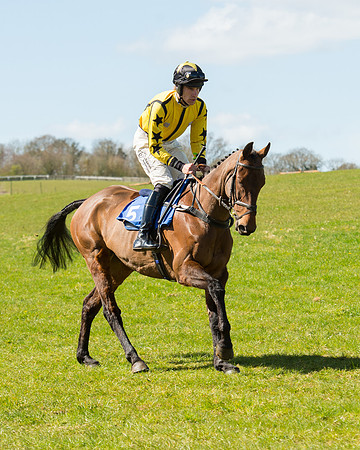 Race 2 - TBA Mares and Fillies (2 of 72).jpg