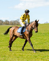 Race 2 - TBA Mares and Fillies (3 of 72).jpg