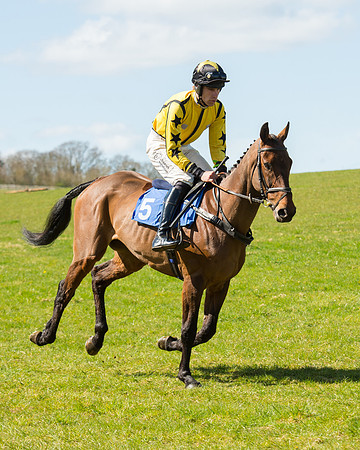 Race 2 - TBA Mares and Fillies (4 of 72).jpg