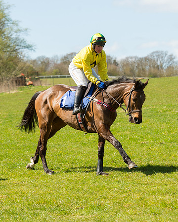 Race 2 - TBA Mares and Fillies (6 of 72).jpg
