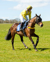 Race 2 - TBA Mares and Fillies (7 of 72).jpg