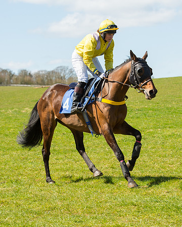 Race 2 - TBA Mares and Fillies (7 of 72).jpg