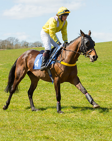 Race 2 - TBA Mares and Fillies (8 of 72).jpg