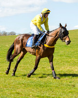 Race 2 - TBA Mares and Fillies (9 of 72).jpg