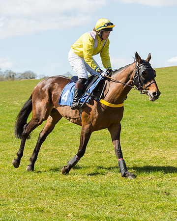 Race 2 - TBA Mares and Fillies (9 of 72).jpg