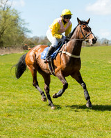 Race 2 - TBA Mares and Fillies (10 of 72).jpg