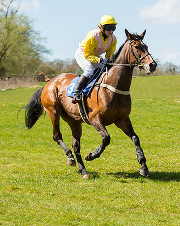 Race 2 - TBA Mares and Fillies (10 of 72).jpg