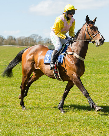Race 2 - TBA Mares and Fillies (12 of 72).jpg