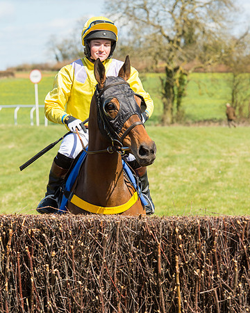 Race 2 - TBA Mares and Fillies (18 of 72).jpg