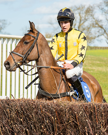 Race 2 - TBA Mares and Fillies (19 of 72).jpg