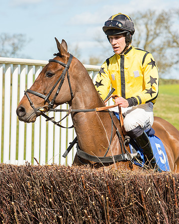 Race 2 - TBA Mares and Fillies (21 of 72).jpg