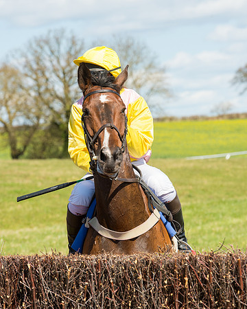 Race 2 - TBA Mares and Fillies (23 of 72).jpg