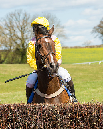 Race 2 - TBA Mares and Fillies (24 of 72).jpg