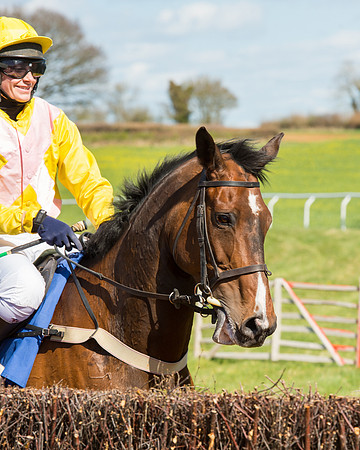 Race 2 - TBA Mares and Fillies (26 of 72).jpg