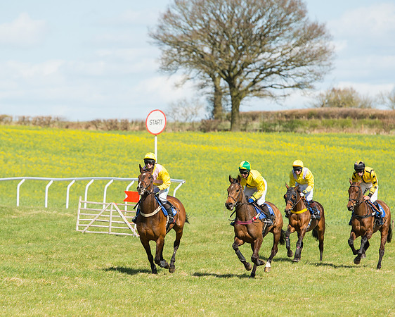 Race 2 - TBA Mares and Fillies (27 of 72).jpg