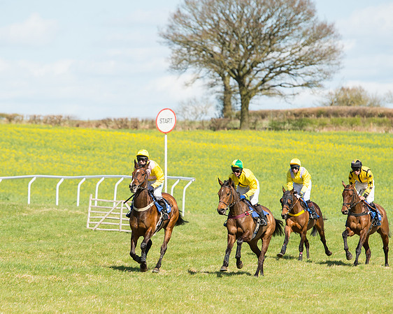 Race 2 - TBA Mares and Fillies (28 of 72).jpg