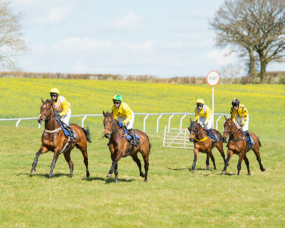 Race 2 - TBA Mares and Fillies (29 of 72).jpg