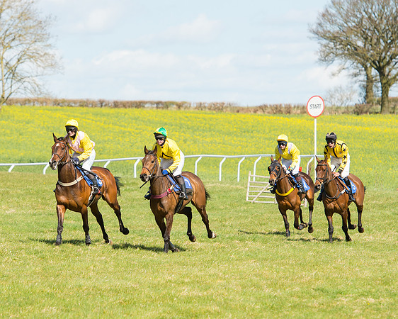 Race 2 - TBA Mares and Fillies (30 of 72).jpg
