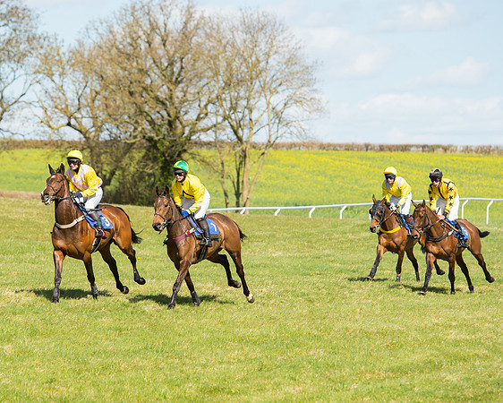 Race 2 - TBA Mares and Fillies (31 of 72).jpg