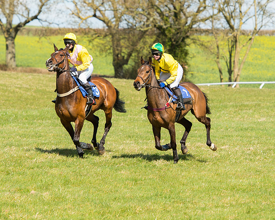 Race 2 - TBA Mares and Fillies (32 of 72).jpg