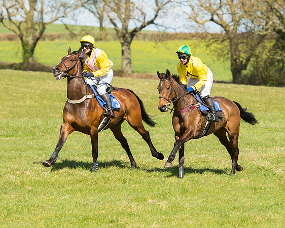 Race 2 - TBA Mares and Fillies (34 of 72).jpg