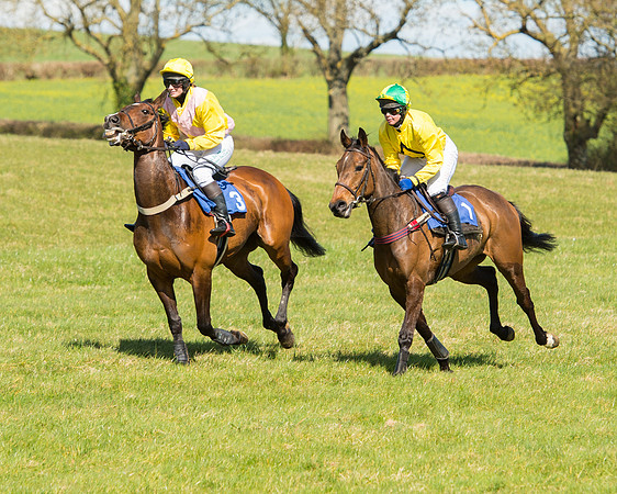 Race 2 - TBA Mares and Fillies (35 of 72).jpg