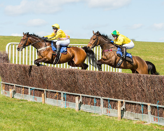 Race 2 - TBA Mares and Fillies (36 of 72).jpg