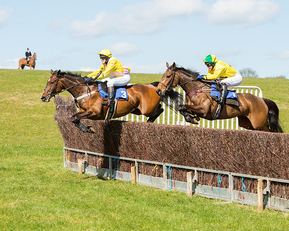 Race 2 - TBA Mares and Fillies (37 of 72).jpg