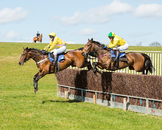 Race 2 - TBA Mares and Fillies (38 of 72).jpg