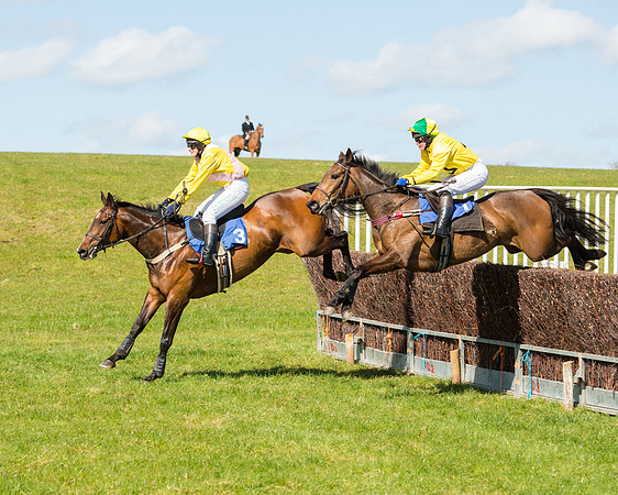 Race 2 - TBA Mares and Fillies (39 of 72).jpg