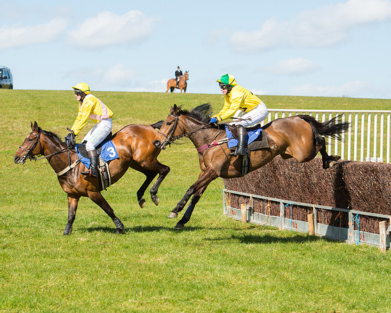 Race 2 - TBA Mares and Fillies (40 of 72).jpg