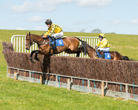 Race 2 - TBA Mares and Fillies (41 of 72).jpg