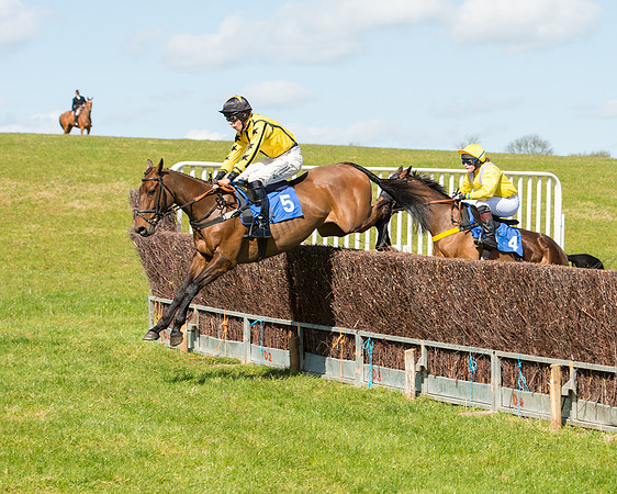 Race 2 - TBA Mares and Fillies (42 of 72).jpg