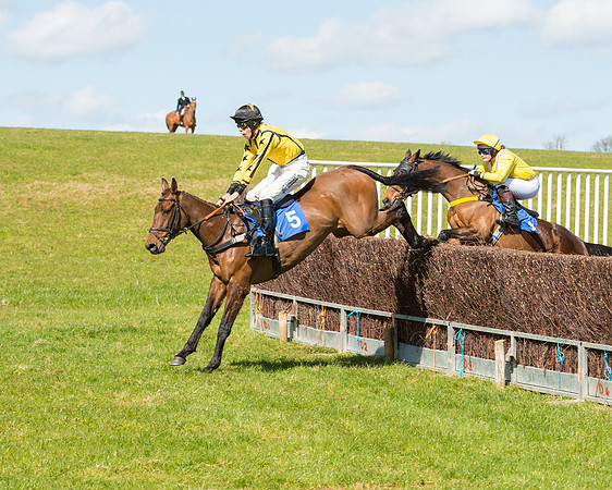 Race 2 - TBA Mares and Fillies (43 of 72).jpg