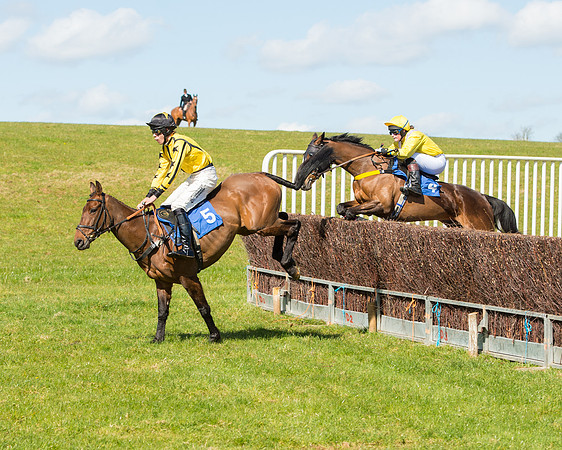 Race 2 - TBA Mares and Fillies (44 of 72).jpg