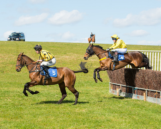 Race 2 - TBA Mares and Fillies (46 of 72).jpg