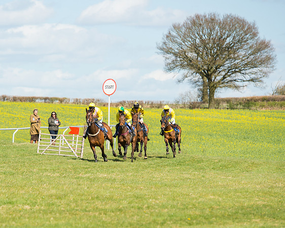 Race 2 - TBA Mares and Fillies (47 of 72).jpg