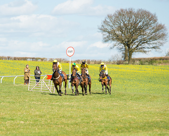 Race 2 - TBA Mares and Fillies (48 of 72).jpg