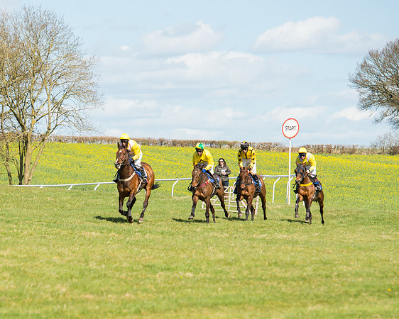 Race 2 - TBA Mares and Fillies (49 of 72).jpg