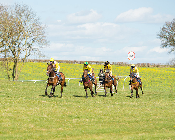 Race 2 - TBA Mares and Fillies (50 of 72).jpg