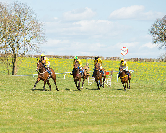 Race 2 - TBA Mares and Fillies (51 of 72).jpg