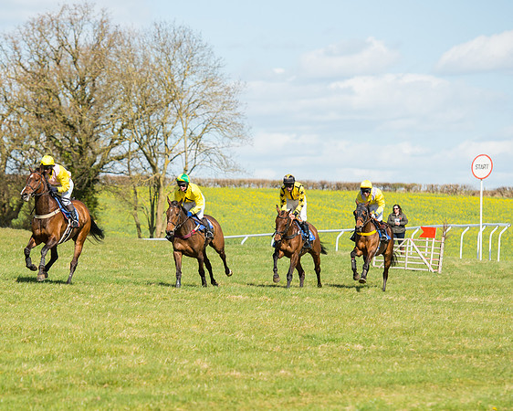 Race 2 - TBA Mares and Fillies (52 of 72).jpg